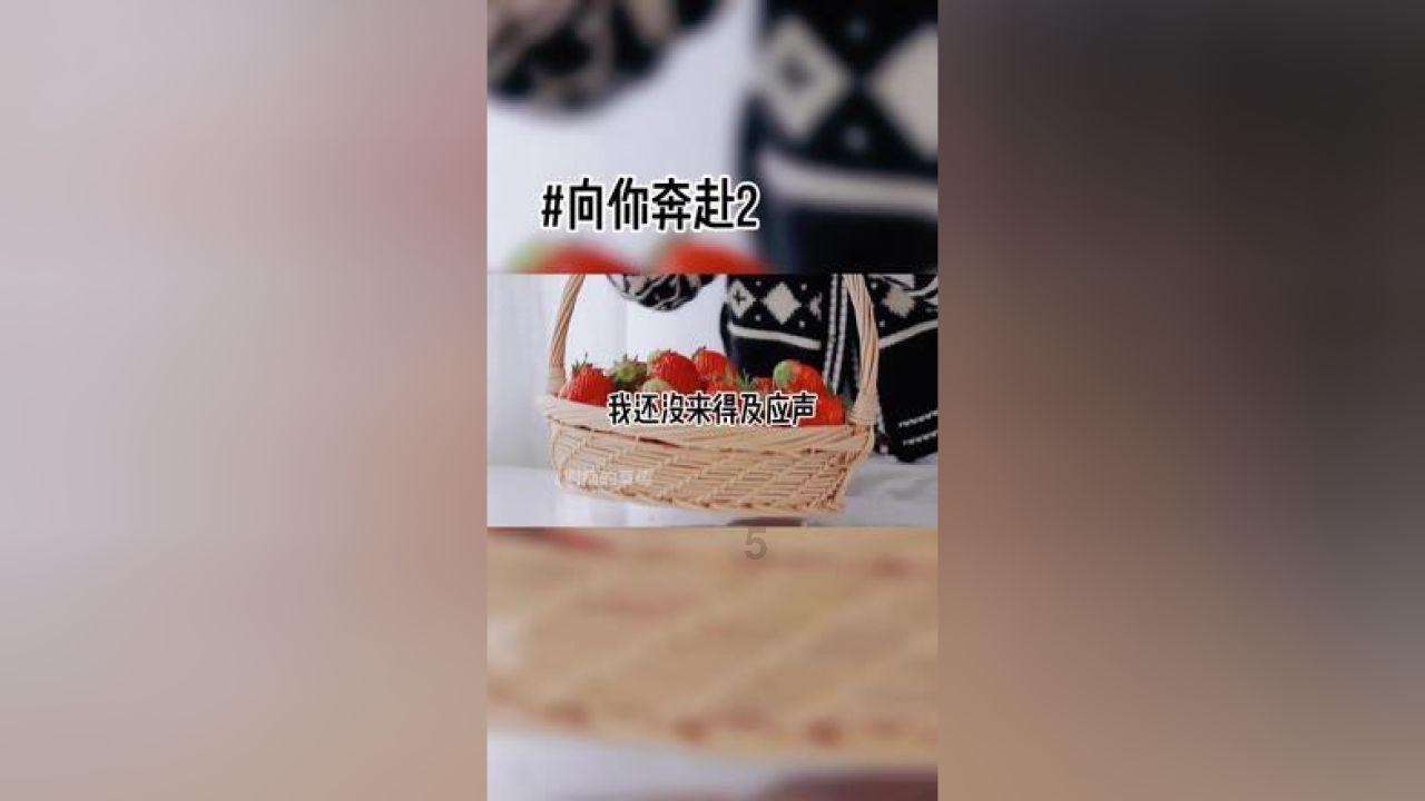 积极开展农作物防冻保苗指导工作
